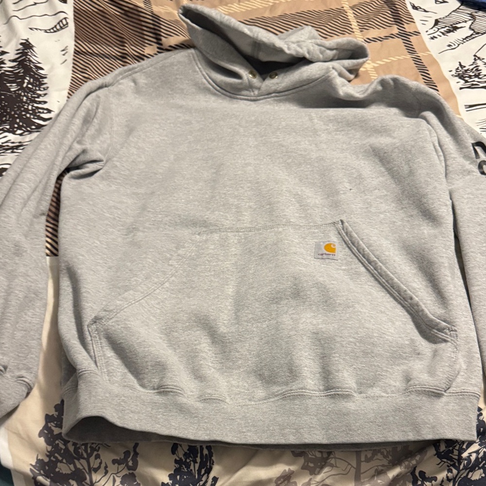 Carhartt Light Gray Men's Hoodie